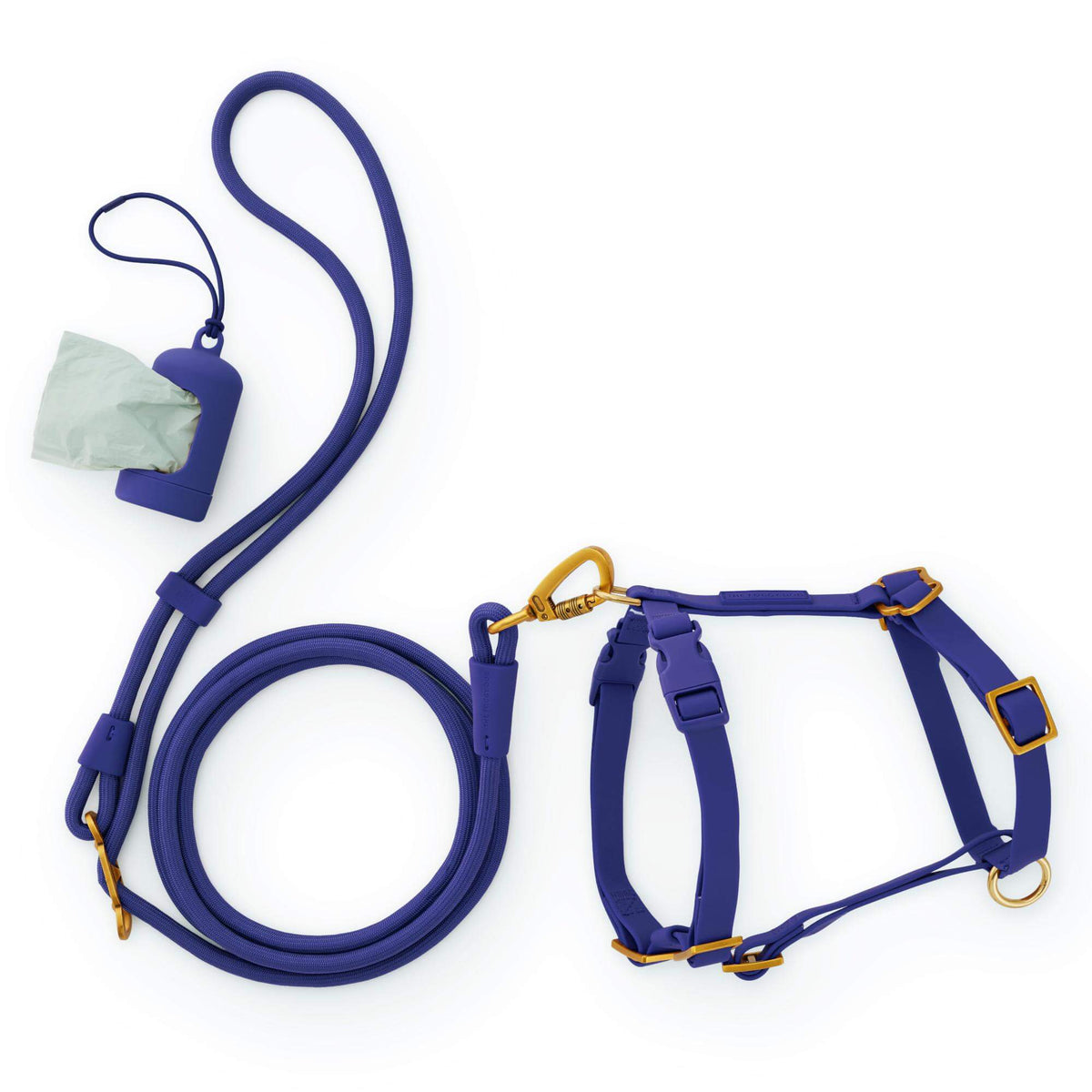 Active Everyday Harness Walk Set - With Handle (XS/S), Azure from The Foggy Dog
