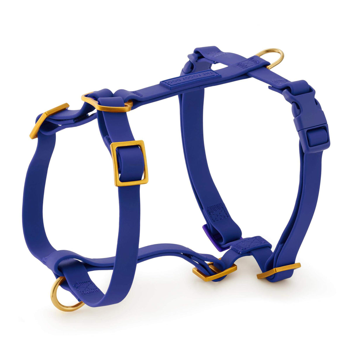 Active Flex Dog Harness - No Handle (XS/S), Azure from The Foggy Dog