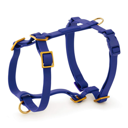 Active Flex Dog Harness - No Handle (XS/S), Azure from The Foggy Dog