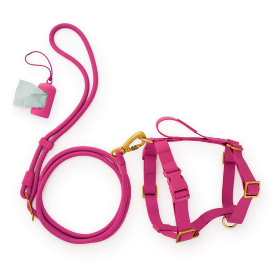 Active Everyday Harness Walk Set - With Handle (M/L), Dahlia view 1