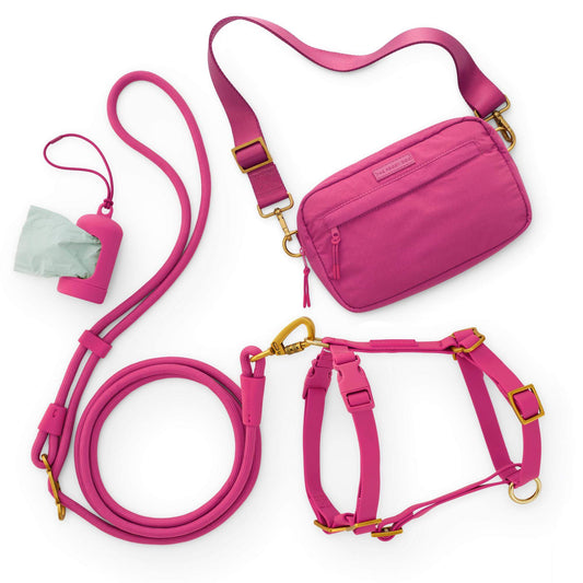 Active Adventure Harness Walk Set - With Handle (XS/S), Dahlia from The Foggy Dog