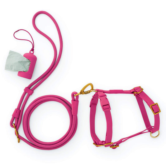 Active Everyday Harness Walk Set - With Handle (XS/S), Dahlia from The Foggy Dog