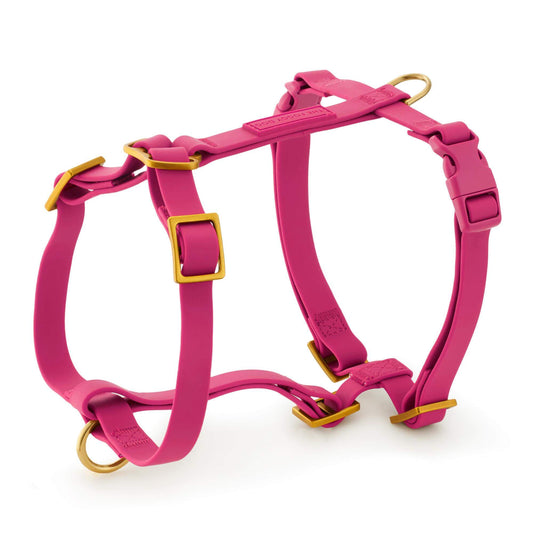 Active Flex Dog Harness (XS/S), Dahlia view 1