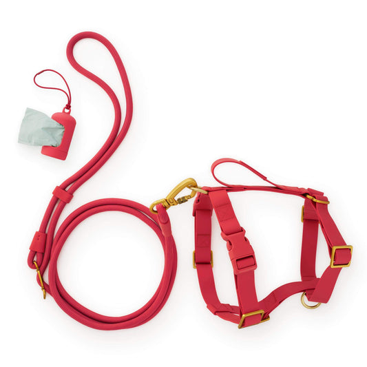 Active Everyday Harness Walk Set - With Handle (M/L), Ember view 1