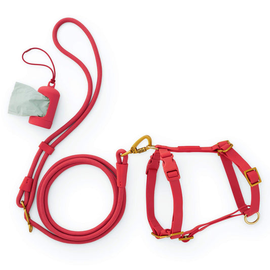 Active Everyday Harness Walk Set - With Handle (XS/S), Ember from The Foggy Dog