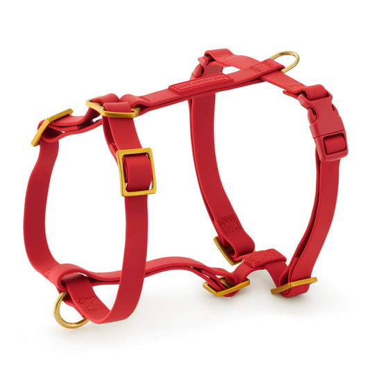 Active Flex Dog Harness (XS/S), Ember view 1