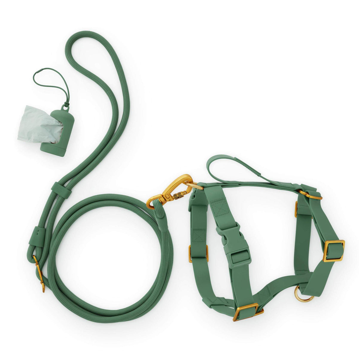 Active Everyday Harness Walk Set - With Handle (M/L), Fern from The Foggy Dog