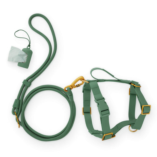 Active Everyday Harness Walk Set - With Handle (M/L), Fern view 1