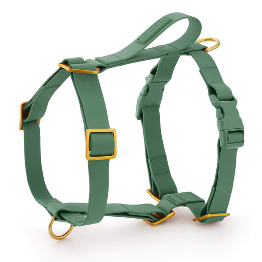 Active Flex Dog Harness - With Handle (M/L), Fern view 1