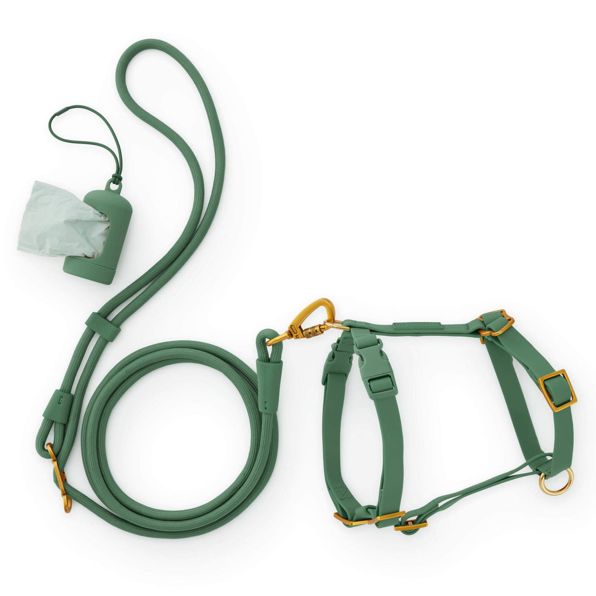 Active Everyday Harness Walk Set - With Handle (XS/S), Fern from The Foggy Dog