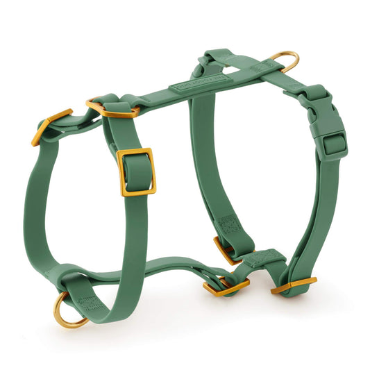 Active Flex Dog Harness (XS/S), Fern view 1