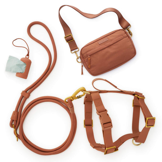 Active Adventure Harness Walk Set - With Handle (M/L), Saddle view 1