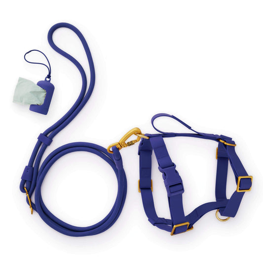 Active Everyday Harness Walk Set - With Handle (M/L), Azure view 1