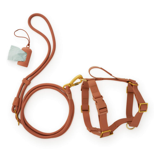 Active Everyday Harness Walk Set - With Handle (M/L), Saddle view 1