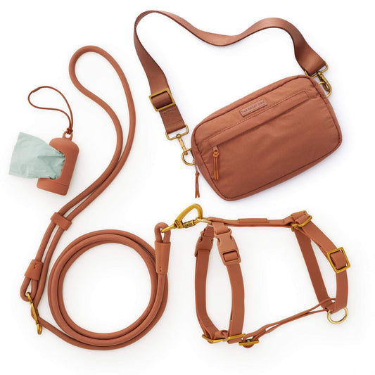 Active Adventure Harness Walk Set - With Handle (XS/S), Saddle from The Foggy Dog