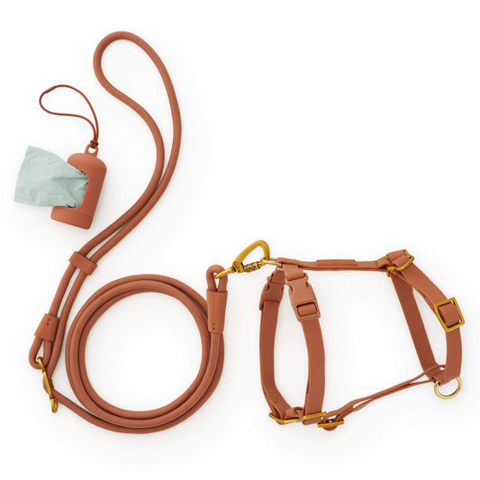 Active Everyday Harness Walk Set - With Handle (XS/S), Saddle from The Foggy Dog