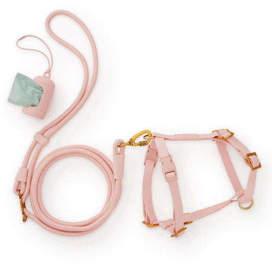 Active Everyday Harness Walk Set - With Handle (XS/S), Shell from The Foggy Dog
