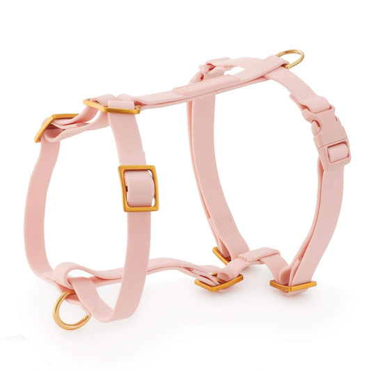 Active Flex Dog Harness (XS/S), Shell view 1