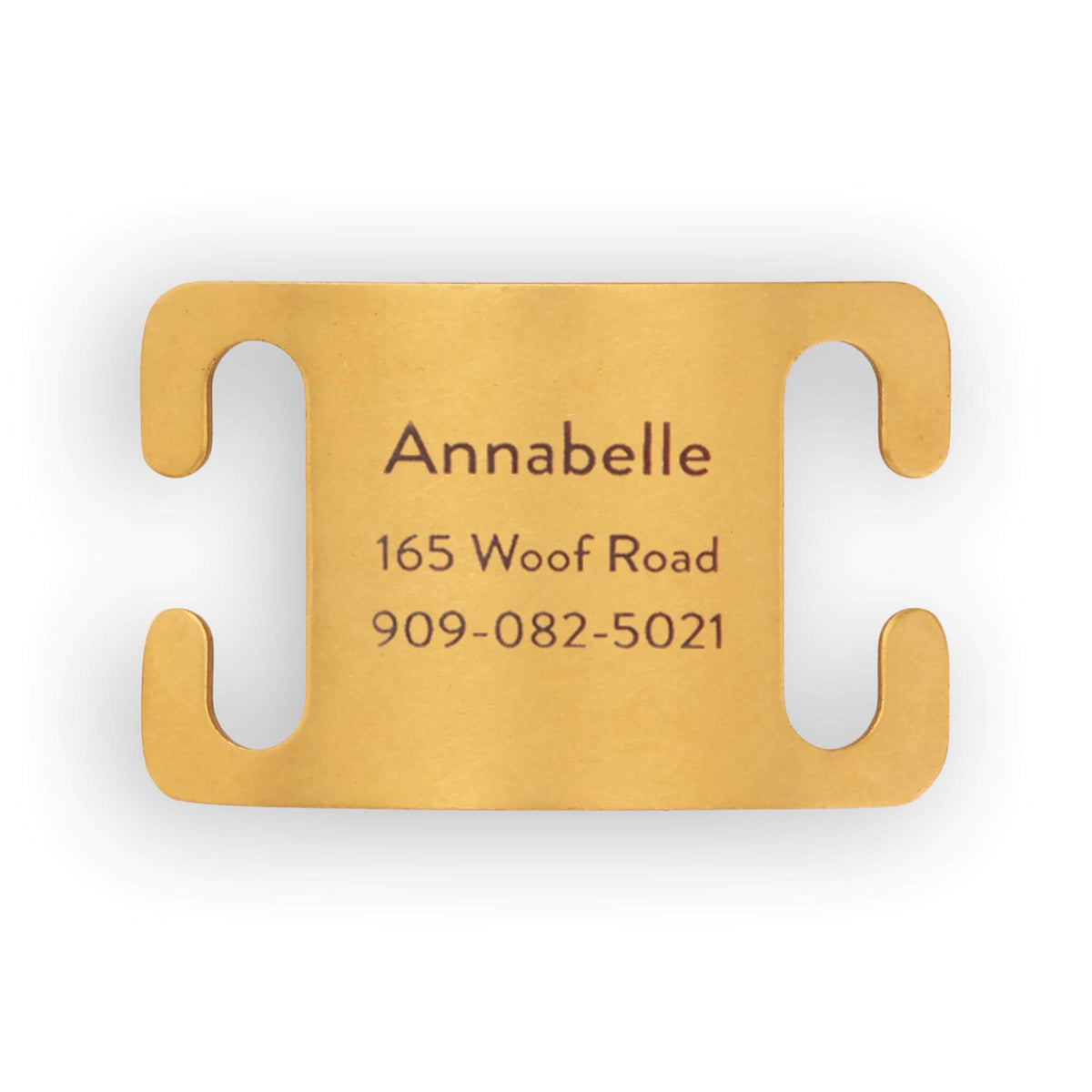 Active Slide-On Pet ID Tag from The Foggy Dog