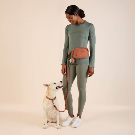 #Kaia (45lbs) in a Medium collar and Standard leash