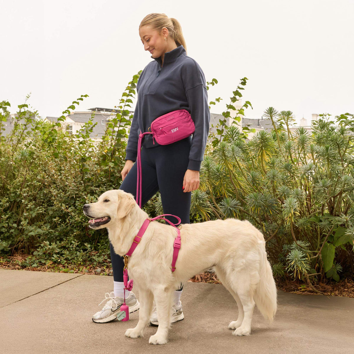 #Olive (65lbs) in a Large harness and Standard leash