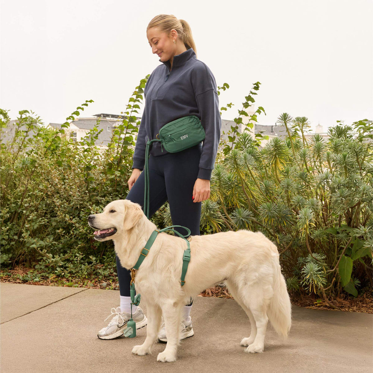 #Olive (65lbs) in a Large harness and Standard leash