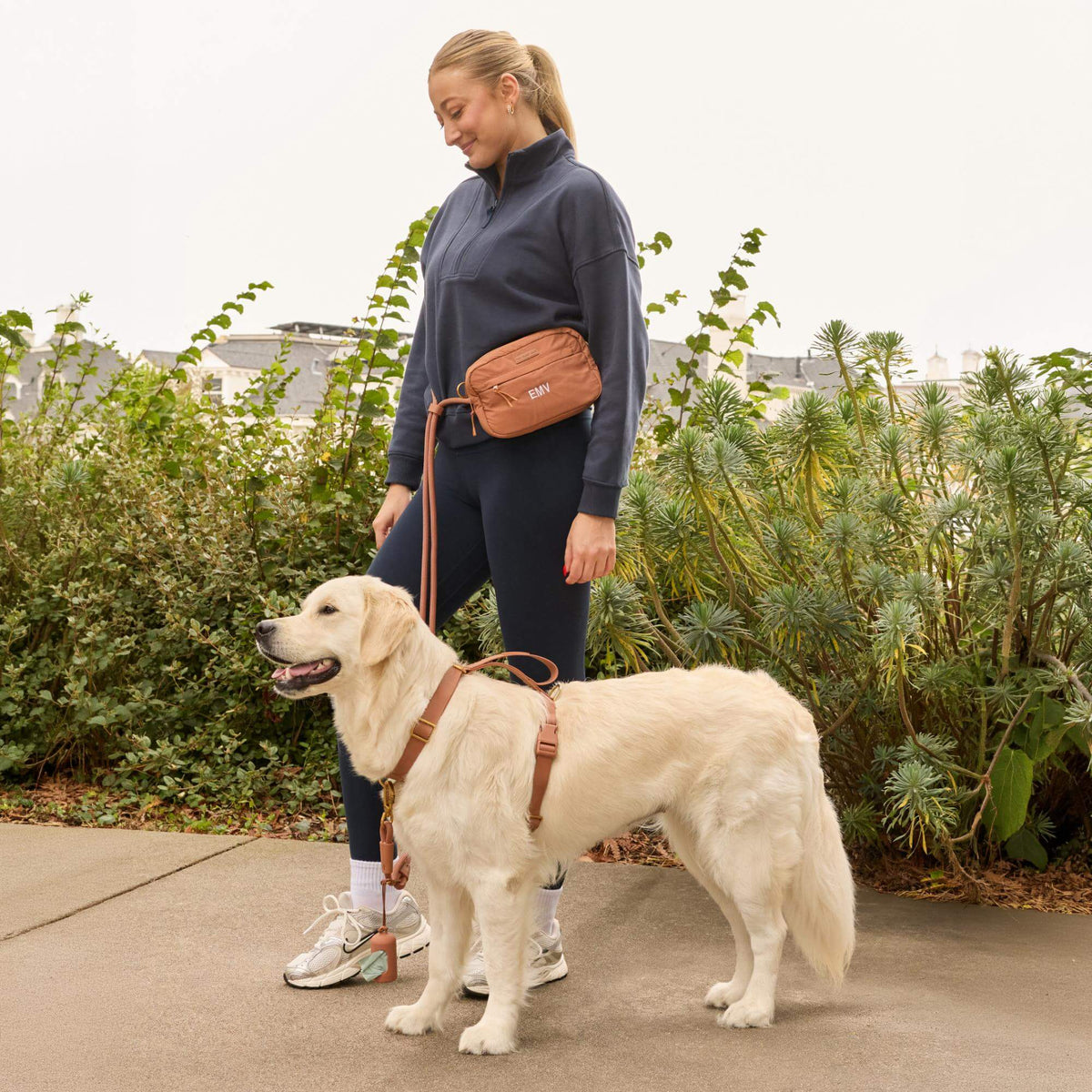 #Olive (65lbs) in a Large harness and Standard leash