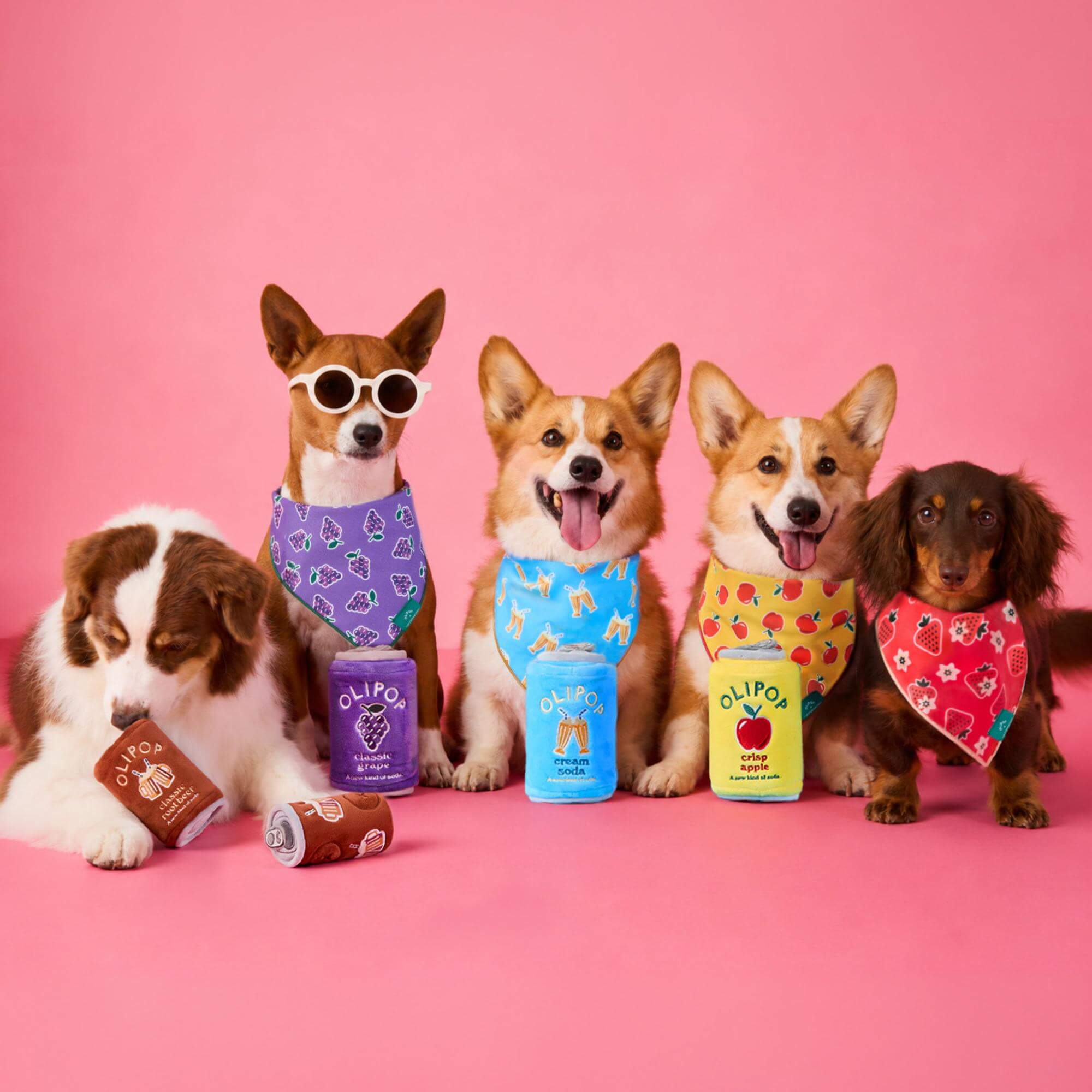 OLIPOP x TFD Cream Soda Dog Bandana – The Foggy Dog