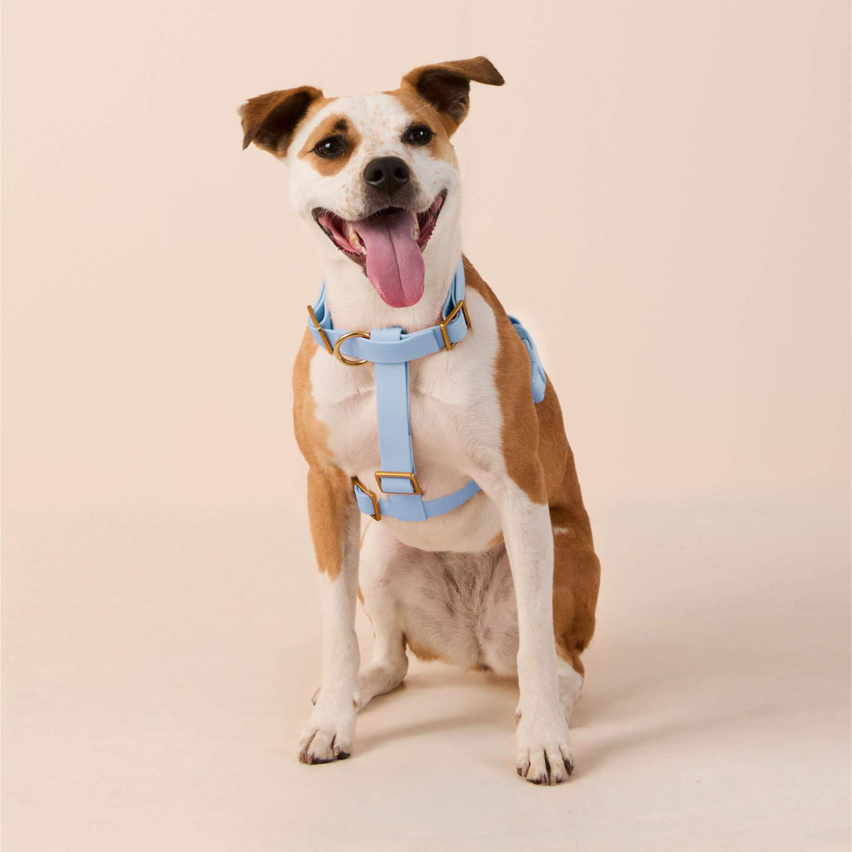 Active Flex Dog Harness - With Handle (M/L), Alpine view 3