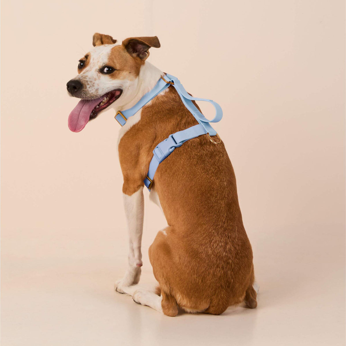 Active Flex Dog Harness - With Handle (M/L), Alpine view 5