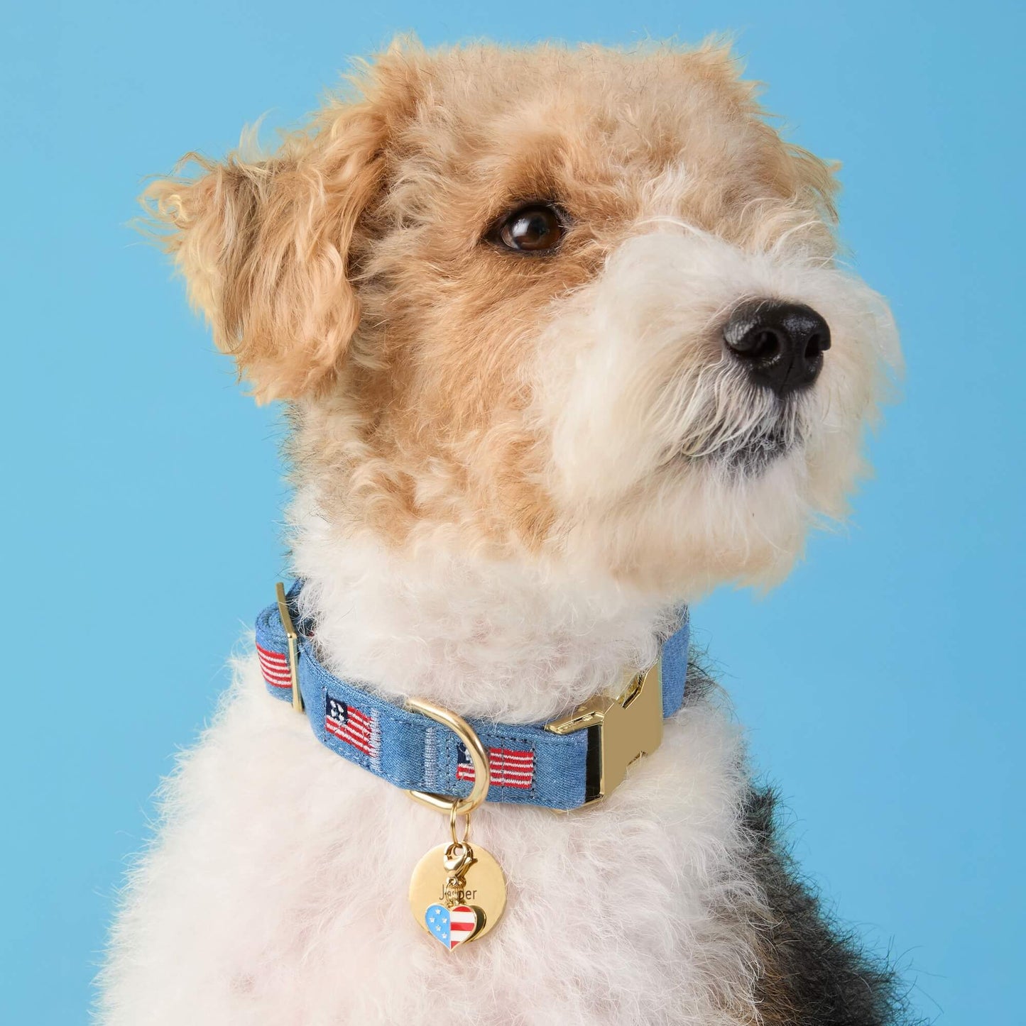 I Heart America Collar Charm from The Foggy Dog