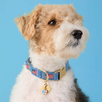 I Heart America Collar Charm from The Foggy Dog