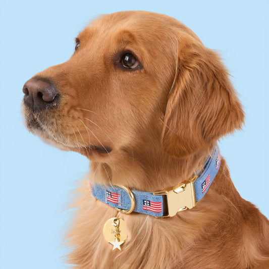 White Star Collar Charm from The Foggy Dog