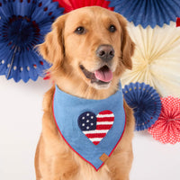 #Modeled by Aura (70lbs) in Large