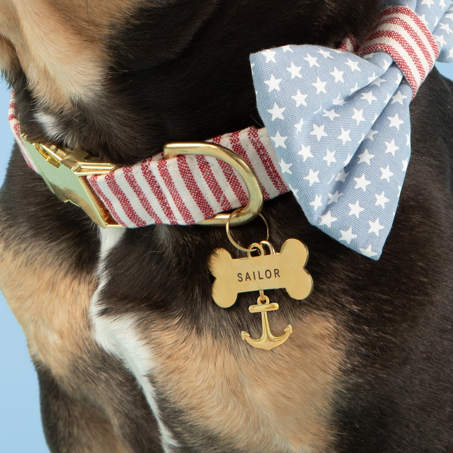 Anchor Charm from The Foggy Dog