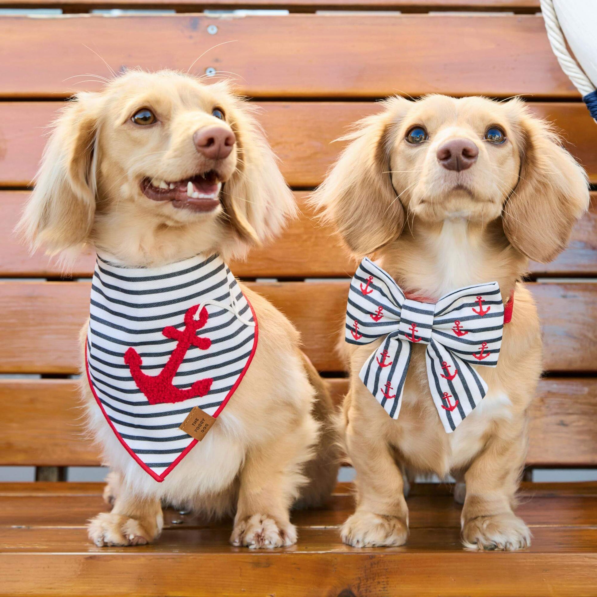 #Modeled by Finley (11lbs) in Small