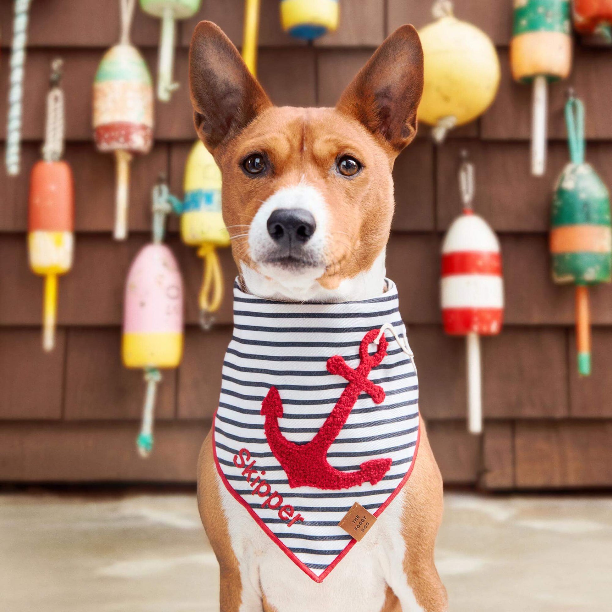 #Modeled by Ricky (27lbs) in Large