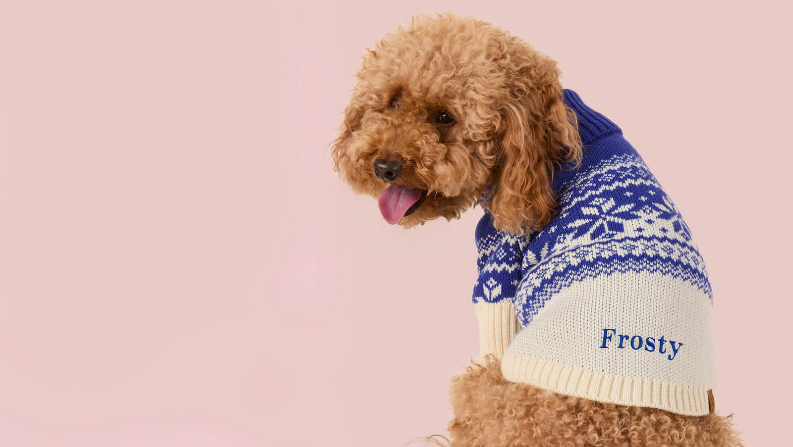 Holiday Apparel at The Foggy Dog