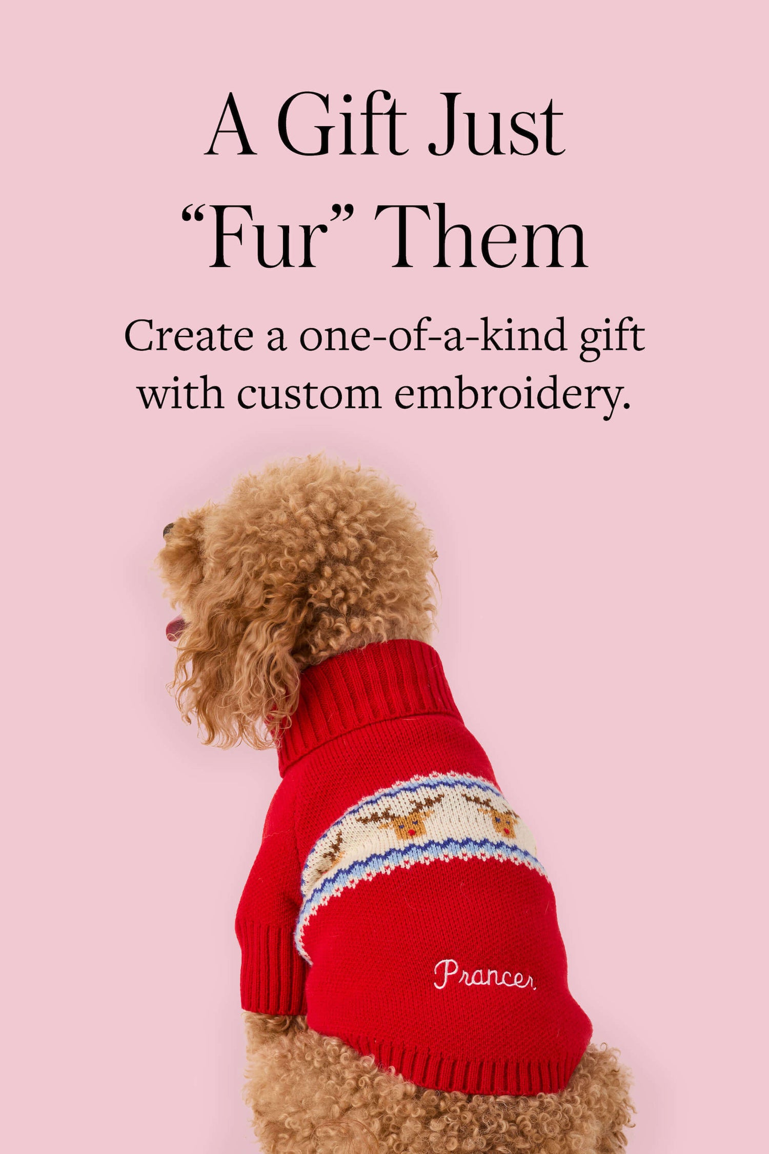 Personalize Dog Sweater at The Foggy Dog