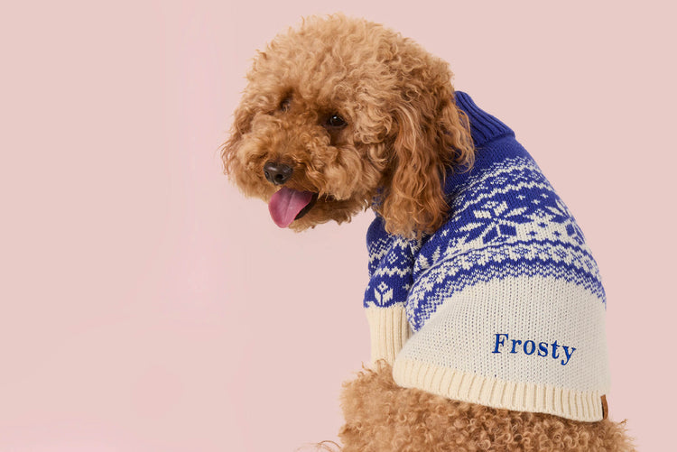 Holiday Apparel at The Foggy Dog