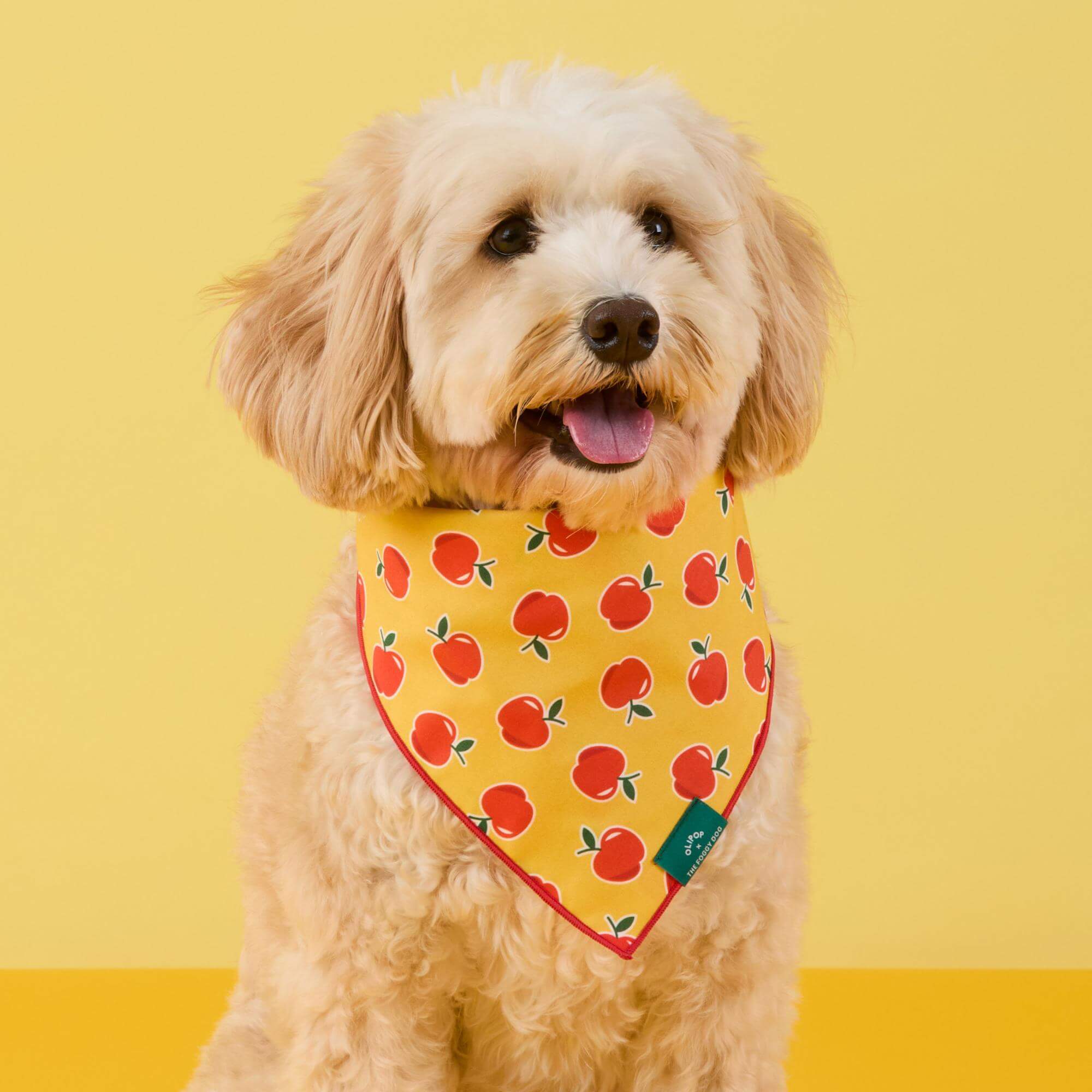 OLIPOP x TFD Crisp Apple Dog Bandana – The Foggy Dog