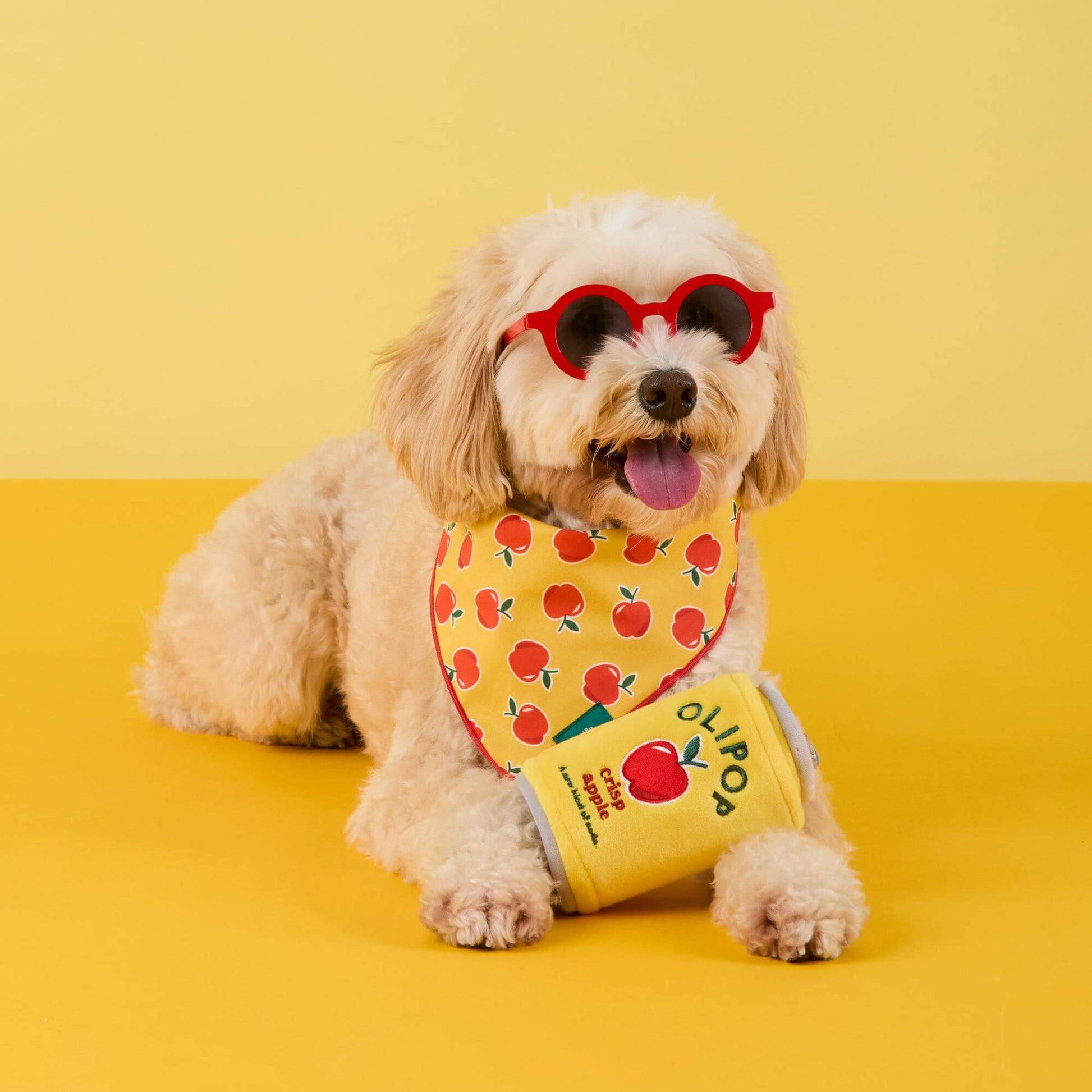 OLIPOP x TFD Crisp Apple Interactive Snuffle Dog Toy from The Foggy Dog