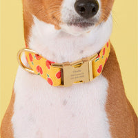 #Modeled by Ricky (26lbs) in Medium
