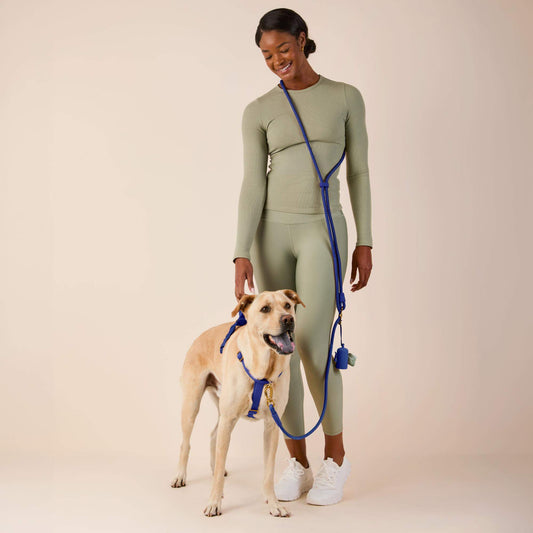 Active Hands-Free Dog Leash, Azure view 2