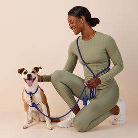#Sadie (50lbs) in a Small harness and Standard leash