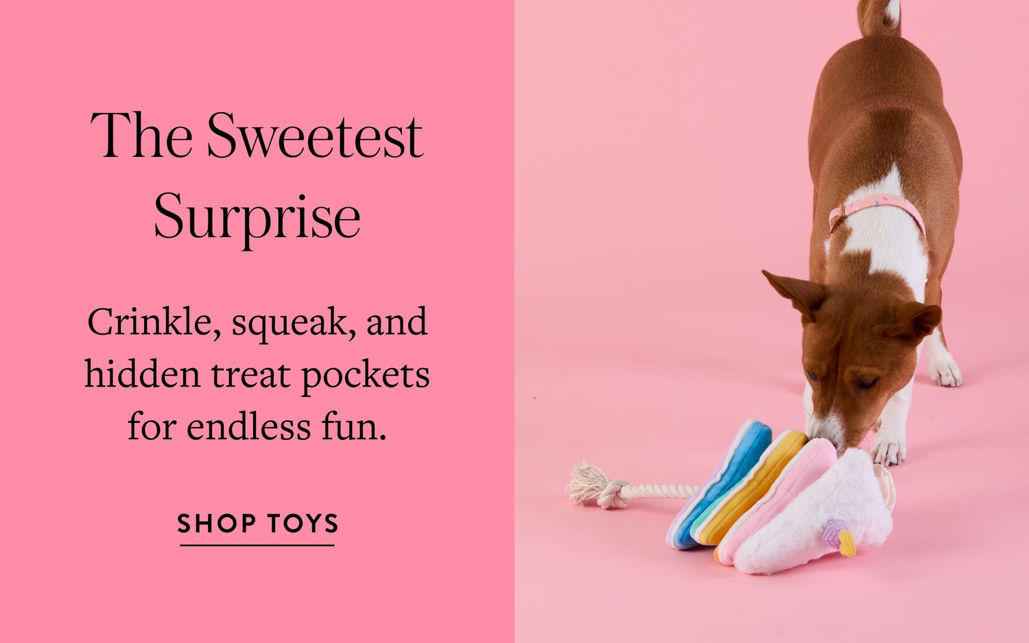 The Sweetest Surprise