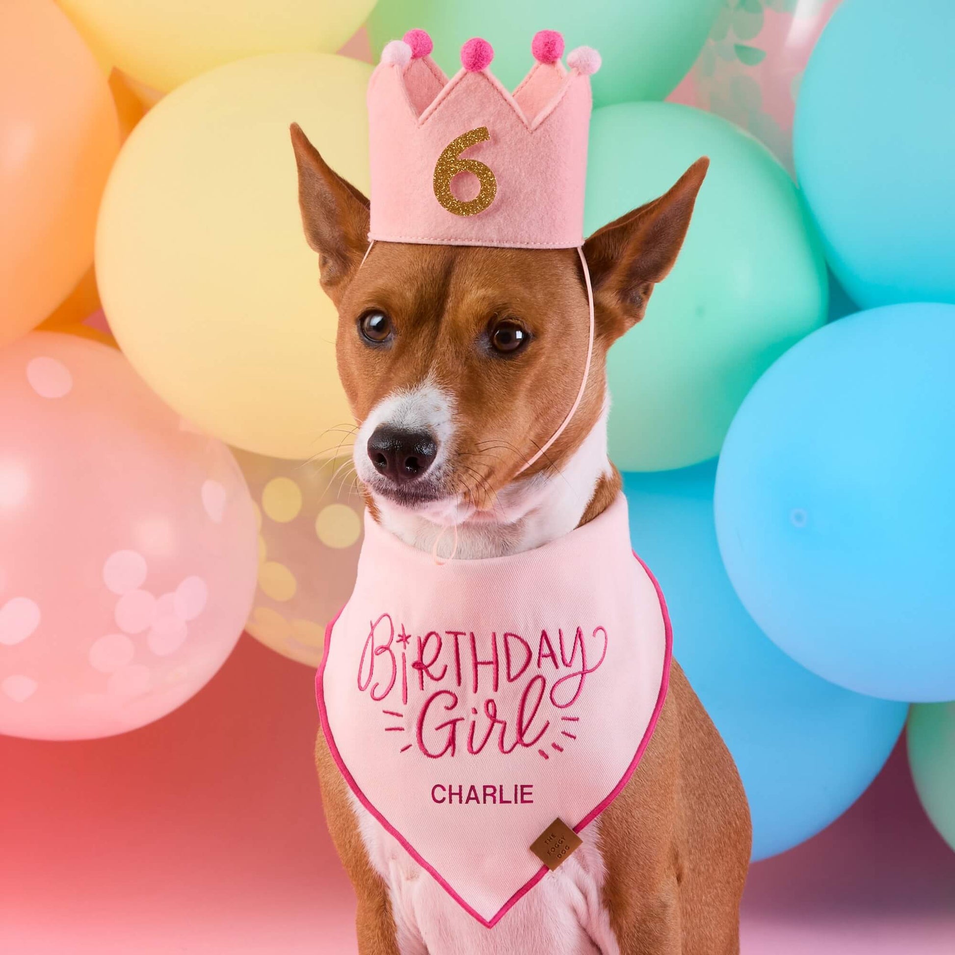#Modeled by Ricky (27lbs)