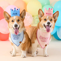 #Modeled by Captain and Tony (30lbs) both in Medium
