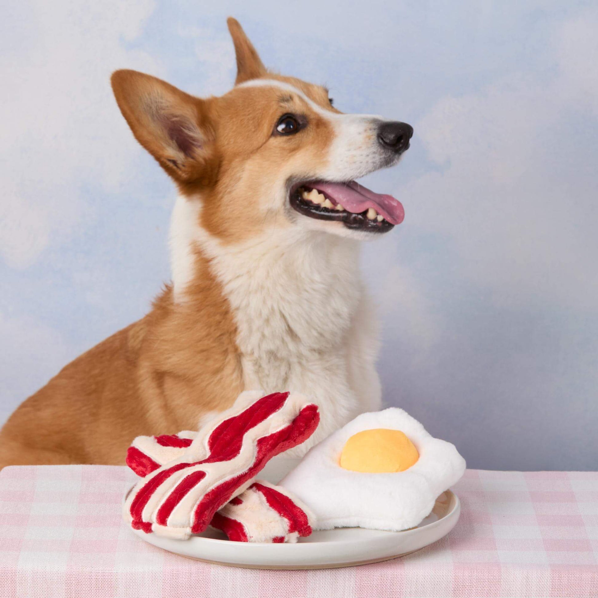 Bacon and Egg Interactive Toy Set from The Foggy Dog