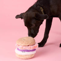 Bagel and Lox Interactive Snuffle Dog Toy from The Foggy Dog